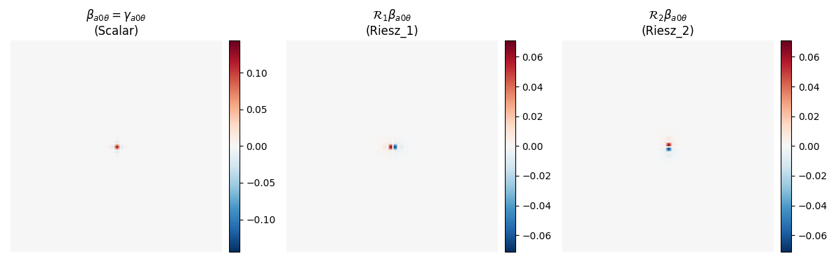 $\beta_{a0\theta} = \gamma_{a0\theta}$ (Scalar), $\mathcal{R}_1\beta_{a0\theta}$ (Riesz_1), $\mathcal{R}_2\beta_{a0\theta}$ (Riesz_2)